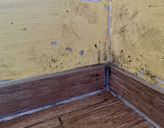 Die Ecken von Räumen sind klassische Wärmebrücken, an denen sich häufig Schimmel bildet.