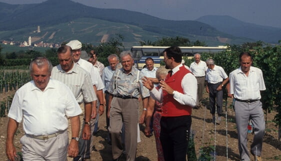 1993 Weinbergbegehung Ingersheim/Elsaß