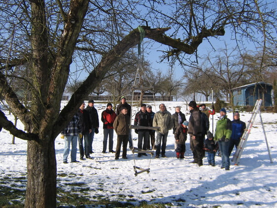 Anschaulich wird am Baum erklärt und gesägt