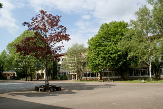 Foto: Realschule im Aurain