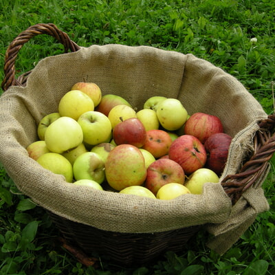 Mobile Obstpresse 