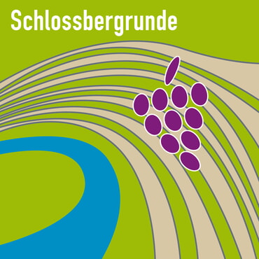 Logo Schlossbergrunde Regionalentwicklung Neckarschleifen e.V.